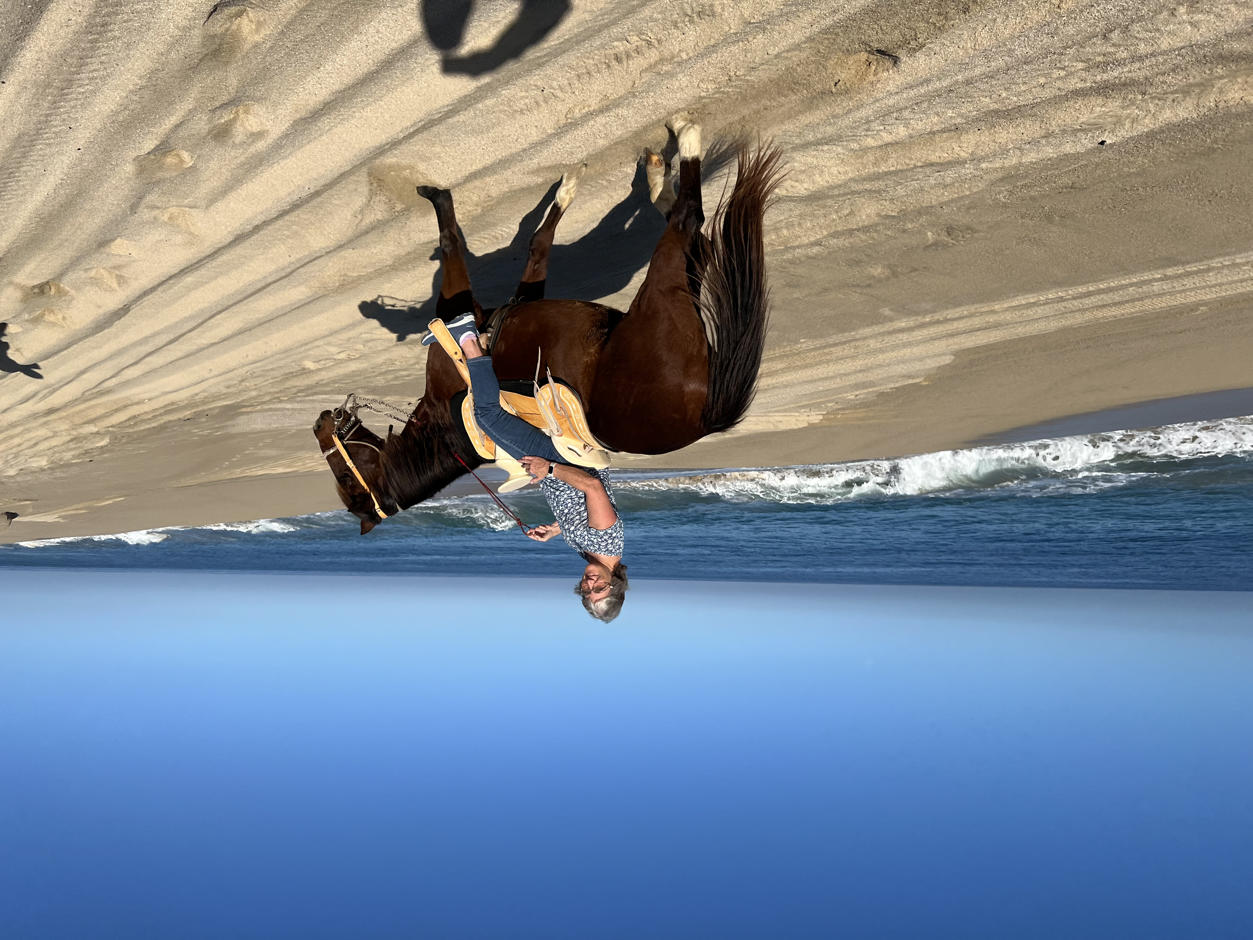 ./2024/13 - Cabo/IMG_4435.jpg